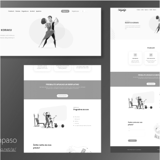inpaso.net